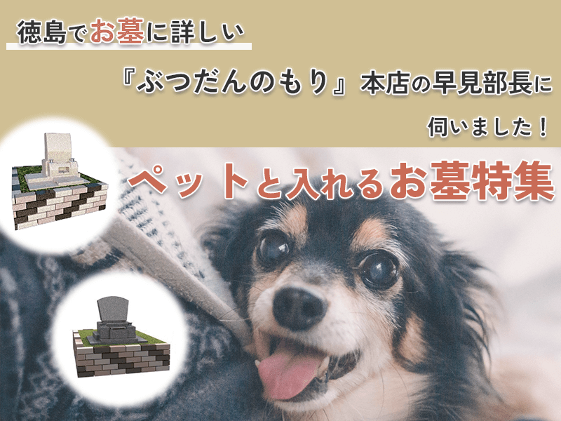 大好きなペットと一緒に入れるお墓があるってご存じですか?今徳島で話題の「ペット供養」ができるお墓について『ぶつだんのもり』徳島本店の部長・早見様に詳しく伺いました!クーポンを使ったお得な購入方法もご紹介!